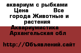 аквариум с рыбками › Цена ­ 15 000 - Все города Животные и растения » Аквариумистика   . Архангельская обл.
